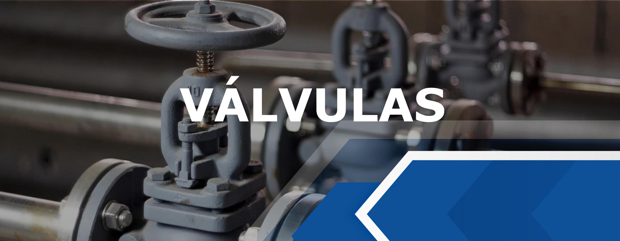 CTQ_Valvulas-Trusted-Valve-Movil